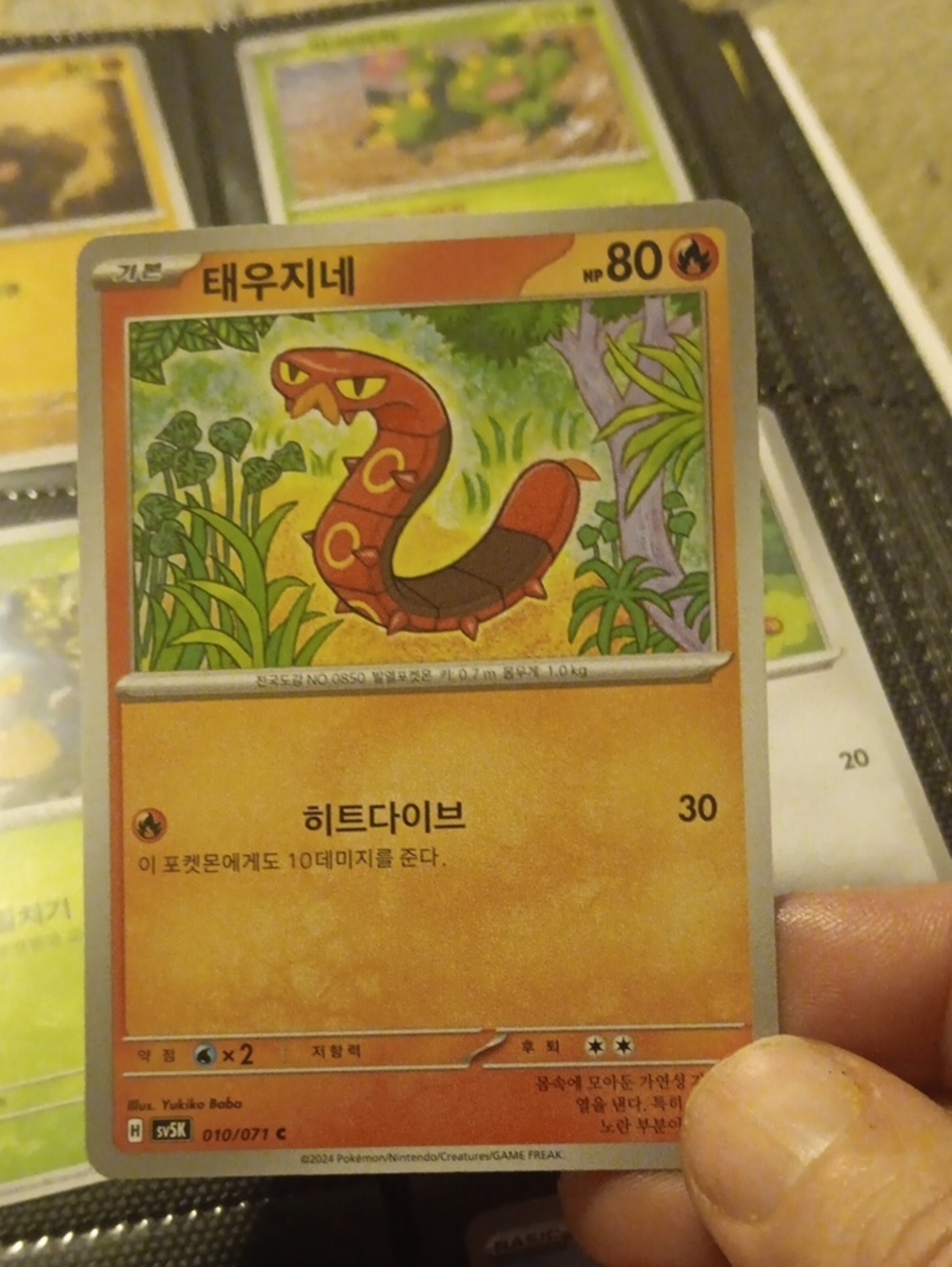 Pokemon Orange and Red Snake Illustration Trading Card
